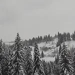 Kazka *