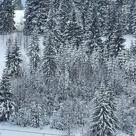 Kazka Lejlighedshotel