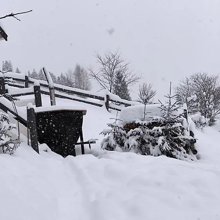 Kazka * Yablunytsya