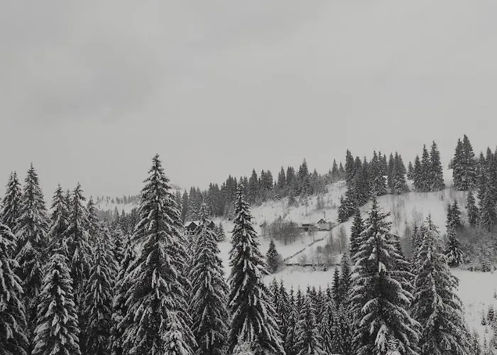 Kazka *