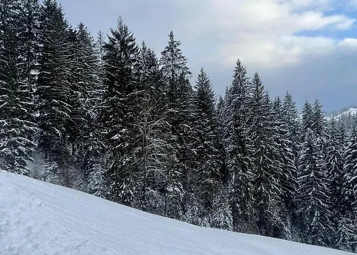 Kazka *